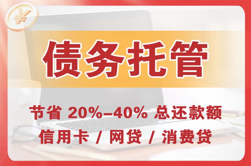 海口债务托管